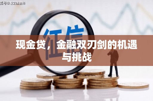 湖内现金贷，金融双刃剑的机遇与挑战