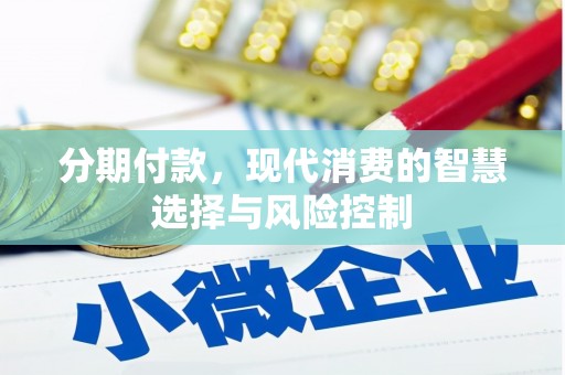 湖内分期付款，现代消费的智慧选择与风险控制