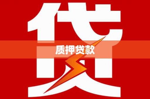 湖内质押贷款