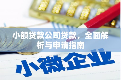 湖内小额贷款公司贷款，全面解析与申请指南