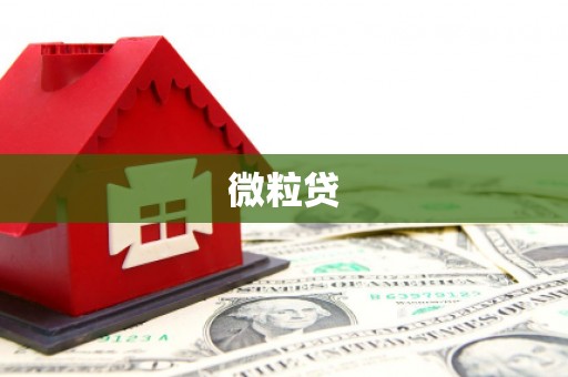 湖内微粒贷