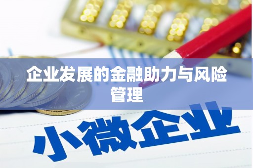 湖内企业发展的金融助力与风险管理