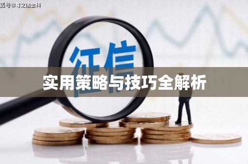 湖内实用策略与技巧全解析