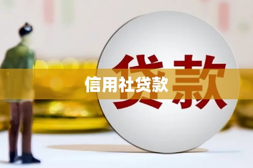 湖内信用社贷款