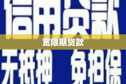 湖内宽限期贷款