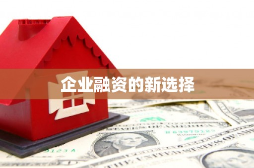 湖内企业融资的新选择