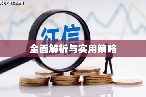湖内全面解析与实用策略