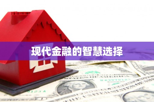 湖内现代金融的智慧选择