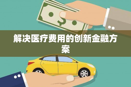 湖内解决医疗费用的创新金融方案