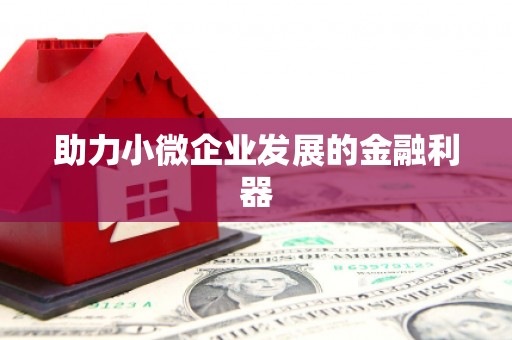 湖内助力小微企业发展的金融利器