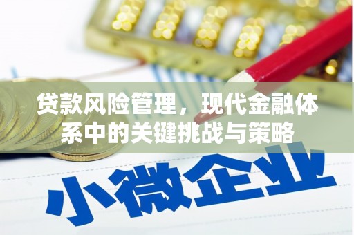 湖内贷款风险管理，现代金融体系中的关键挑战与策略