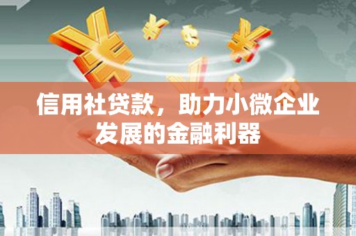 湖内信用社贷款，助力小微企业发展的金融利器