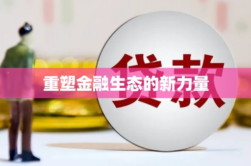 湖内重塑金融生态的新力量