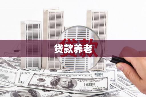 湖内贷款养老