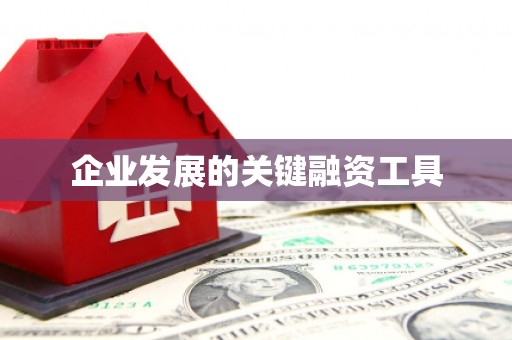 湖内企业发展的关键融资工具