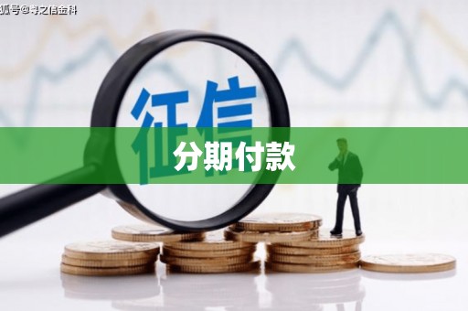 湖内分期付款