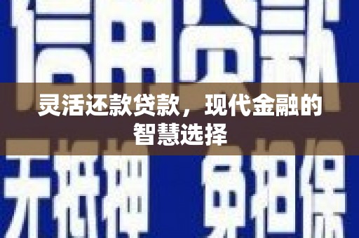 湖内灵活还款贷款，现代金融的智慧选择