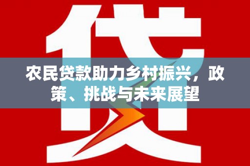 湖内农民贷款助力乡村振兴，政策、挑战与未来展望