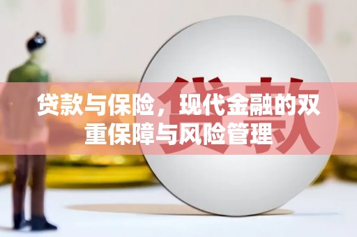 湖内贷款与保险，现代金融的双重保障与风险管理