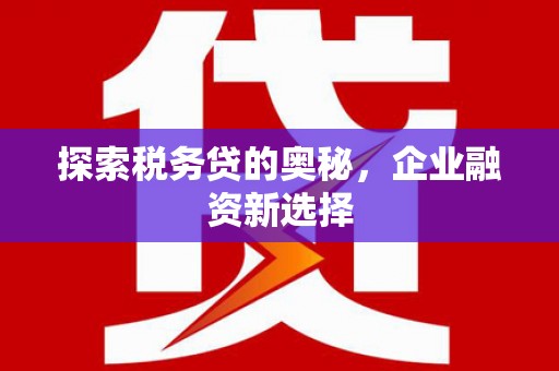 湖内探索税务贷的奥秘，企业融资新选择
