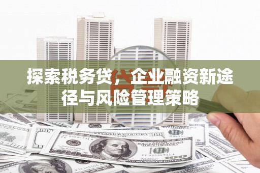 湖内探索税务贷，企业融资新途径与风险管理策略