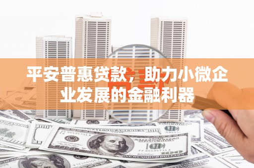 湖内平安普惠贷款，助力小微企业发展的金融利器