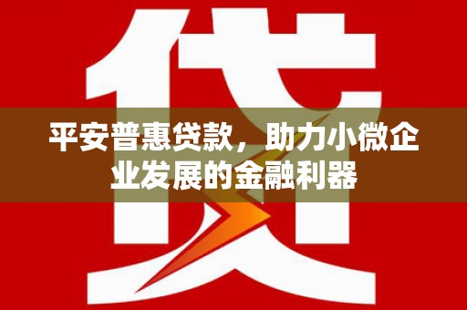 湖内平安普惠贷款，助力小微企业发展的金融利器