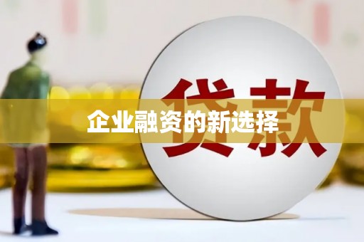 湖内企业融资的新选择