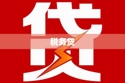 湖内税务贷