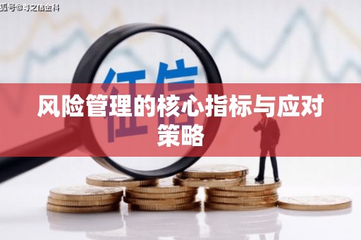 湖内风险管理的核心指标与应对策略
