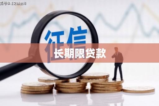 湖内长期限贷款