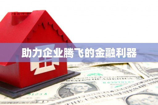 湖内助力企业腾飞的金融利器
