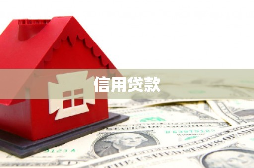 湖内信用贷款