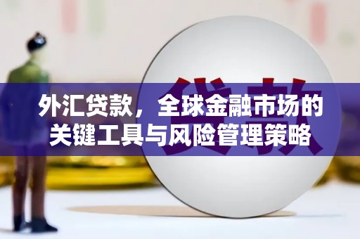 湖内外汇贷款，全球金融市场的关键工具与风险管理策略