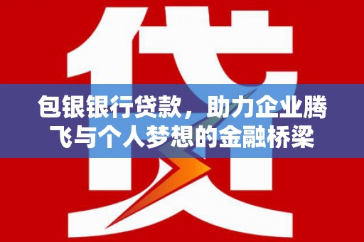 湖内包银银行贷款，助力企业腾飞与个人梦想的金融桥梁