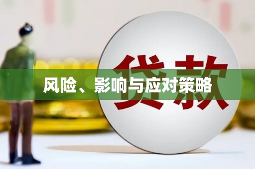 湖内风险、影响与应对策略