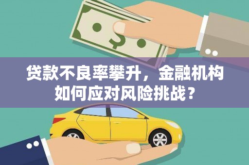湖内贷款不良率攀升，金融机构如何应对风险挑战？