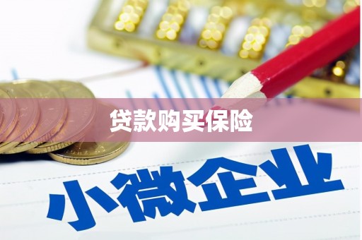 湖内贷款购买保险