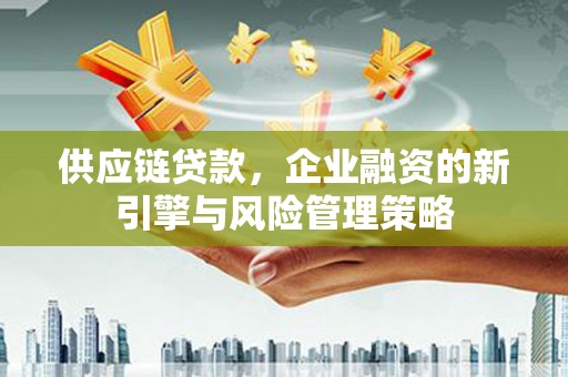 湖内供应链贷款，企业融资的新引擎与风险管理策略