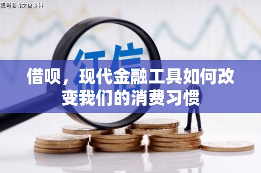 湖内借呗，现代金融工具如何改变我们的消费习惯