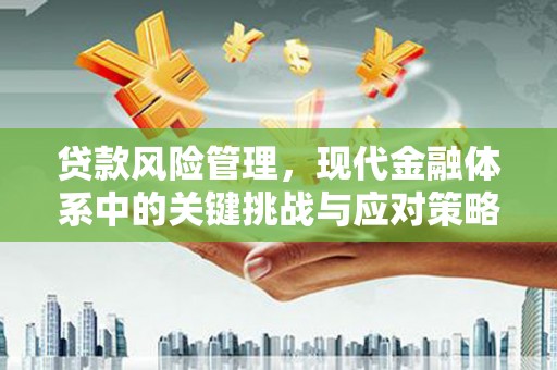 湖内贷款风险管理，现代金融体系中的关键挑战与应对策略