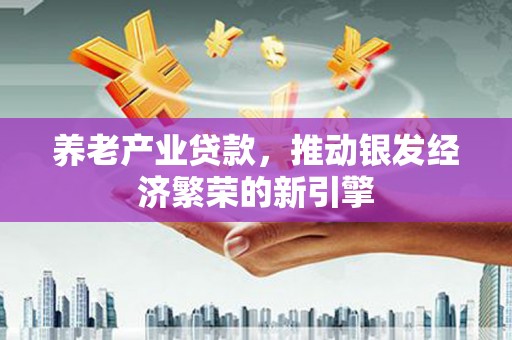 湖内养老产业贷款，推动银发经济繁荣的新引擎