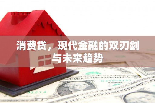 湖内消费贷，现代金融的双刃剑与未来趋势