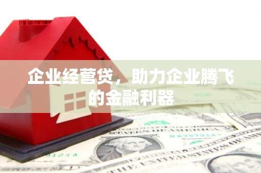 湖内企业经营贷，助力企业腾飞的金融利器