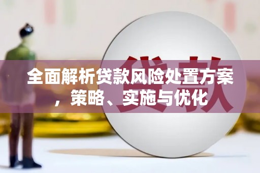 湖内全面解析贷款风险处置方案，策略、实施与优化