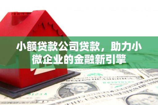 湖内小额贷款公司贷款，助力小微企业的金融新引擎