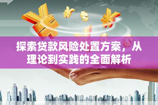 湖内探索贷款风险处置方案，从理论到实践的全面解析