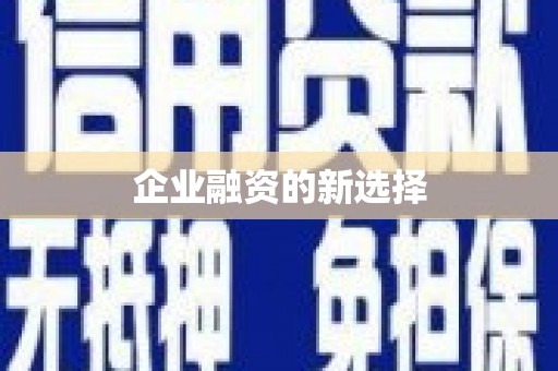 湖内企业融资的新选择