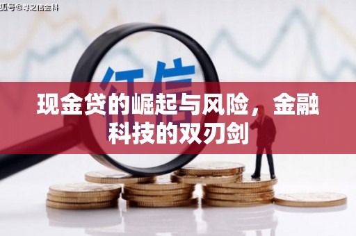 湖内现金贷的崛起与风险，金融科技的双刃剑