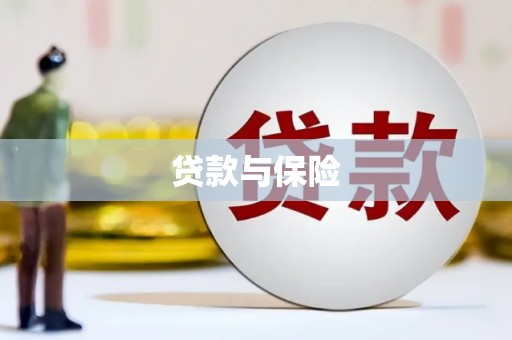 湖内贷款与保险